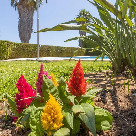 فيلة Lujo Olivanova Golf Met *