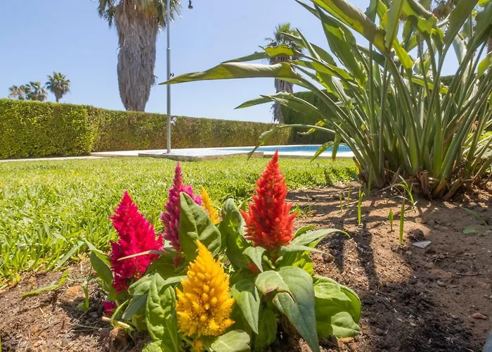 Willa Lujo Olivanova Golf Met *